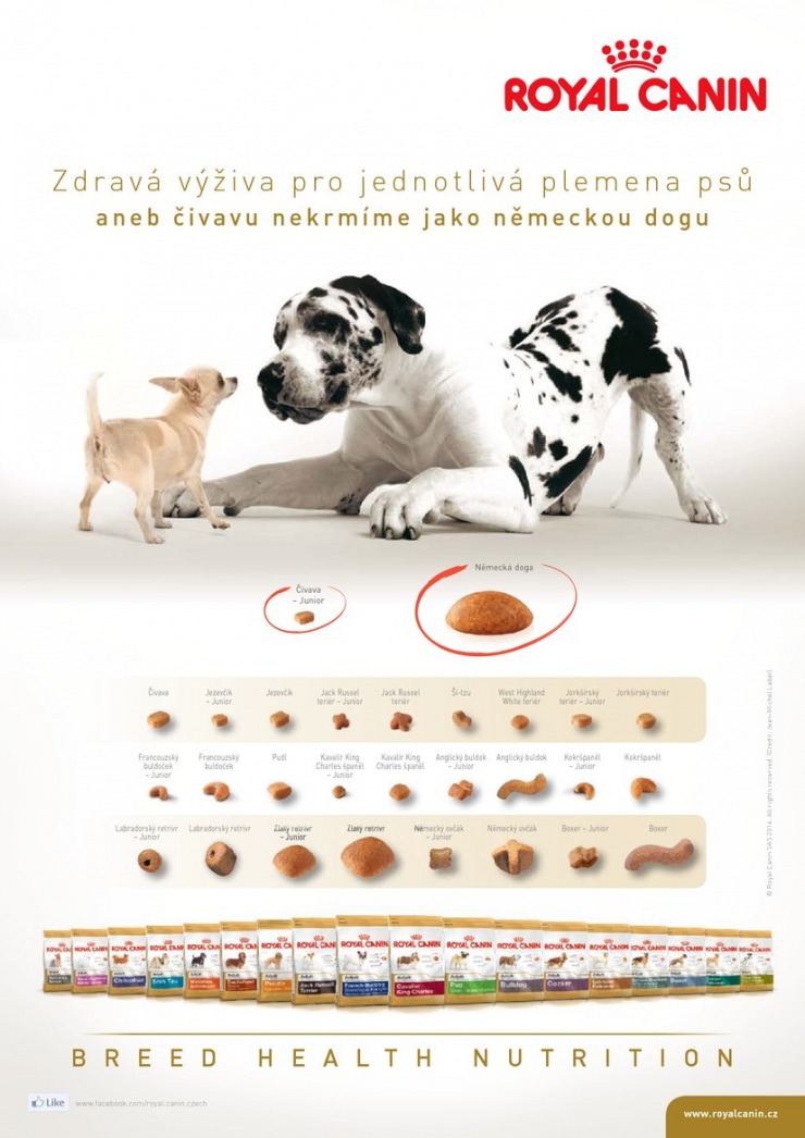 leták Pet Center Akční leták od 1.6.2014 strana 1 leták Pet Center Akční leták od 1.6.2014 strana 1
