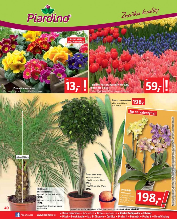 leták Bauhaus Katalog od 6.2.2015 strana 1 leták Bauhaus Katalog od 6.2.2015 strana 1
